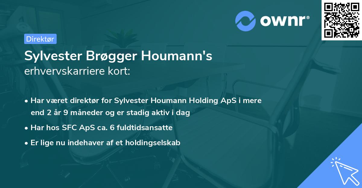 Sylvester Brøgger Houmann's erhvervskarriere kort