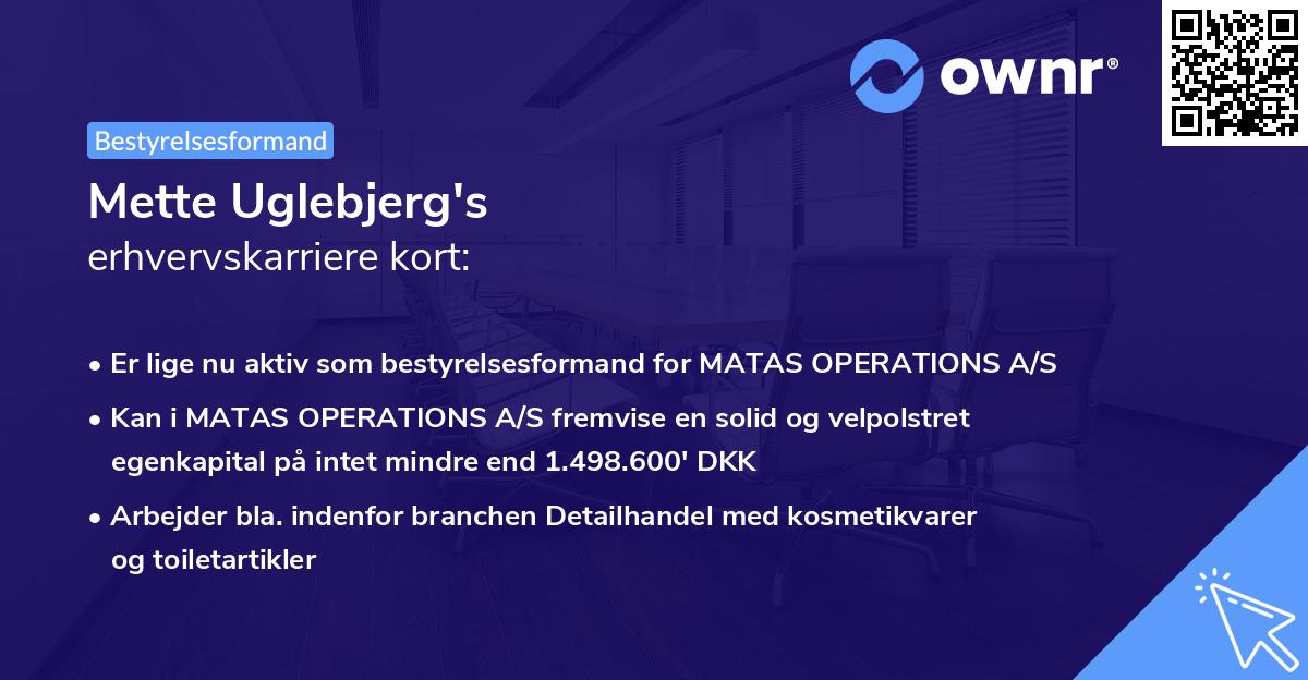 Mette Uglebjerg's erhvervskarriere kort
