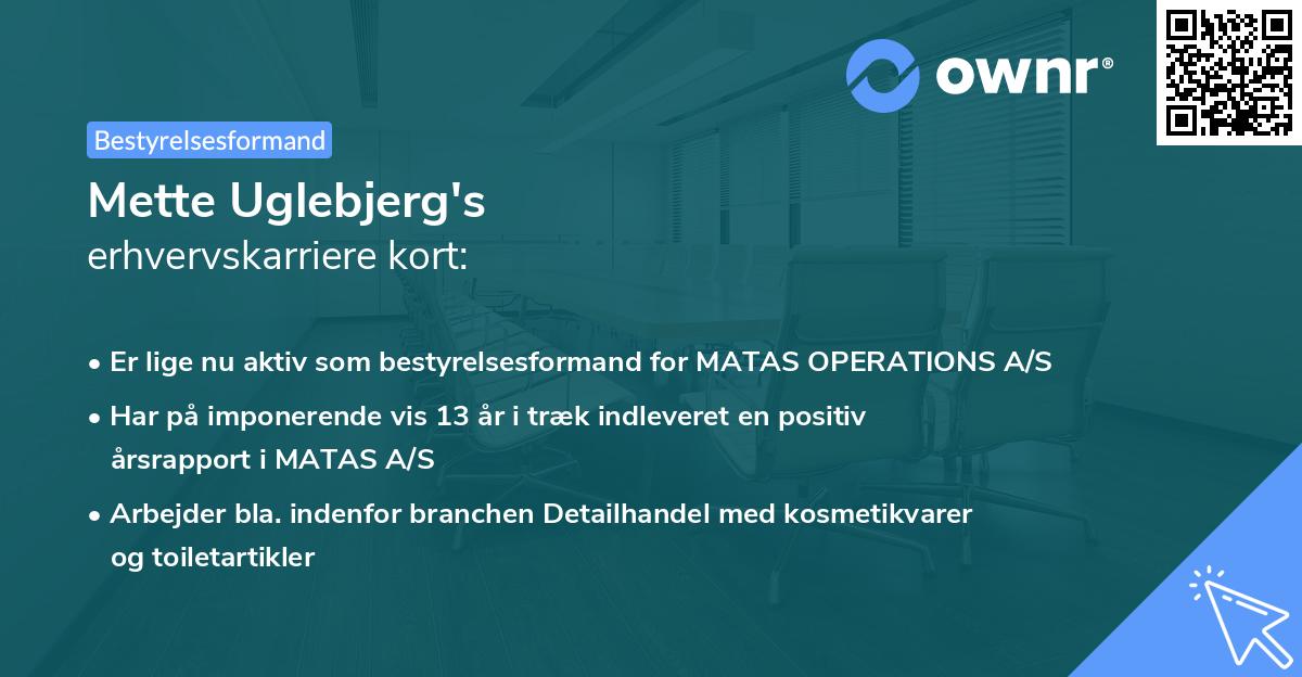 Mette Uglebjerg's erhvervskarriere kort