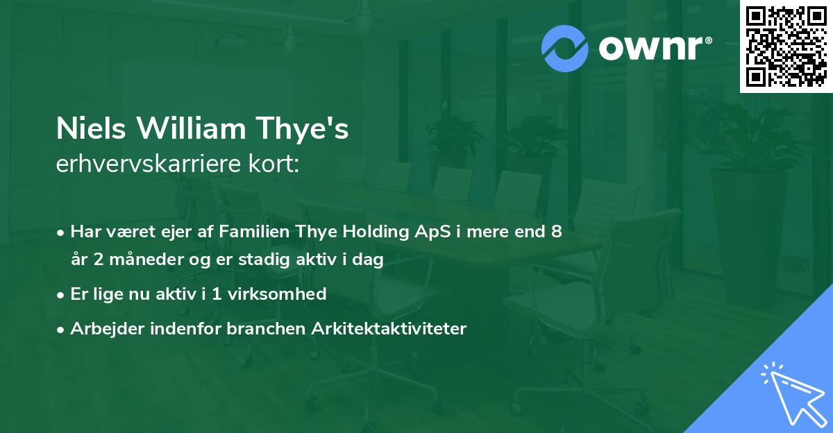 Niels William Thye's erhvervskarriere kort