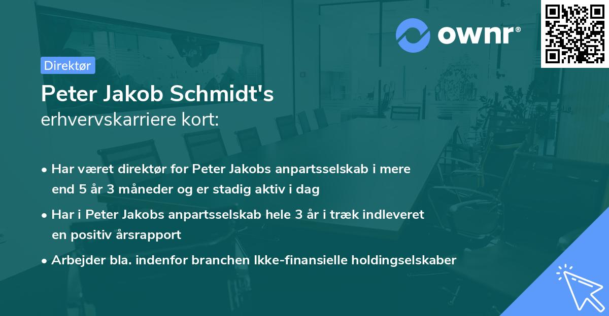 Peter Jakob Schmidt's erhvervskarriere kort