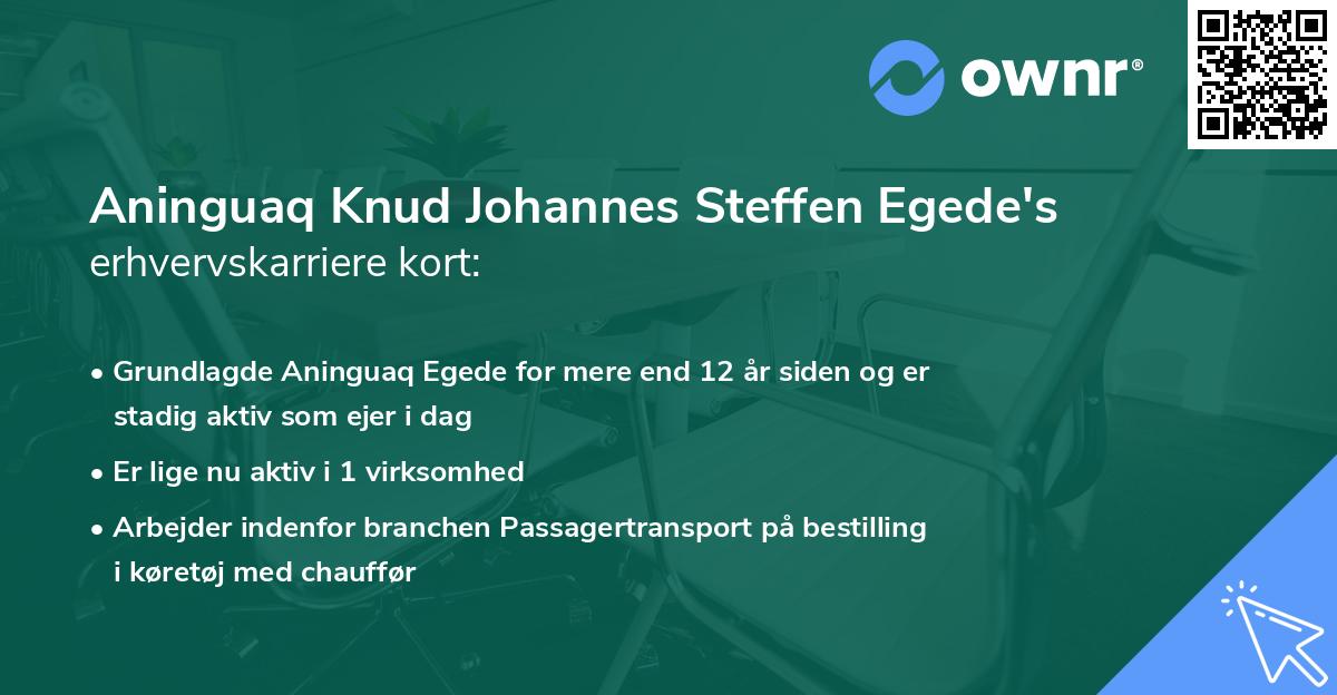 Aninguaq Knud Johannes Steffen Egede's erhvervskarriere kort