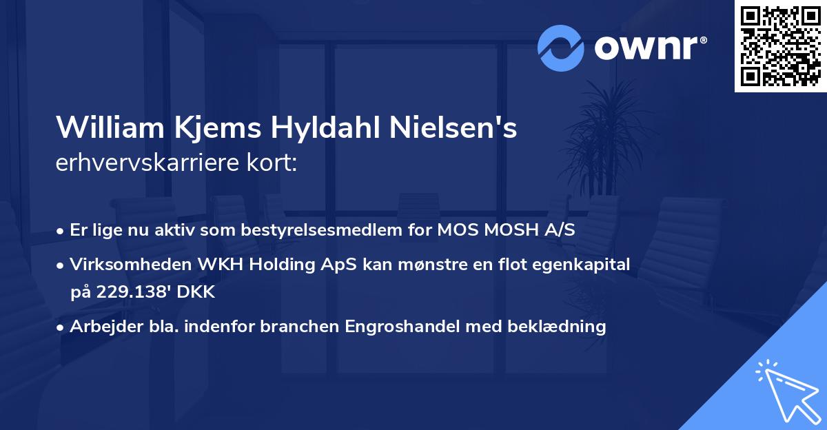 William Kjems Hyldahl Nielsen's erhvervskarriere kort