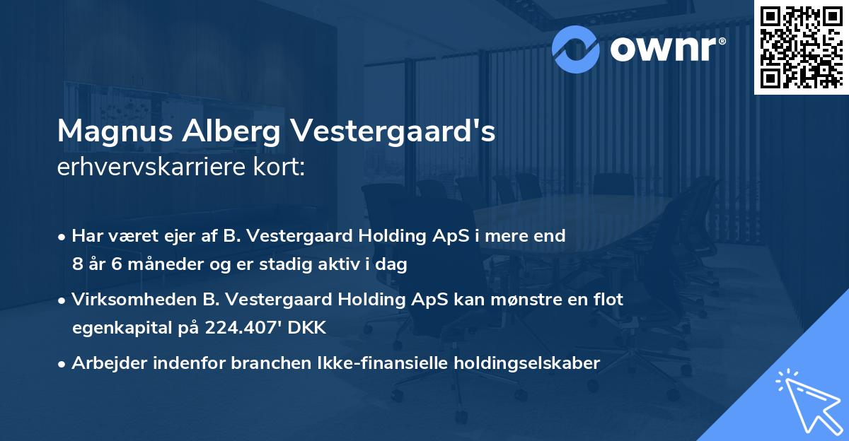 Magnus Alberg Vestergaard's erhvervskarriere kort