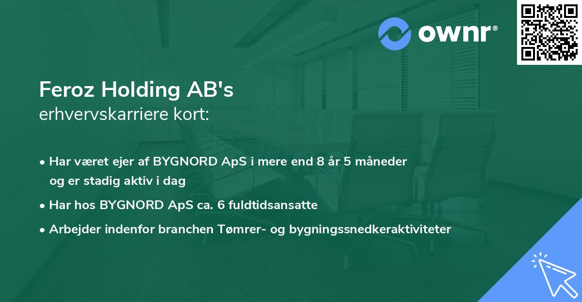 Feroz Holding AB's erhvervskarriere kort