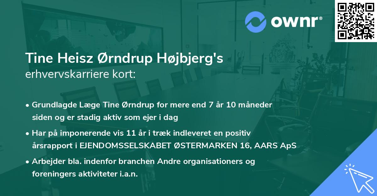 Tine Heisz Ørndrup Højbjerg's erhvervskarriere kort