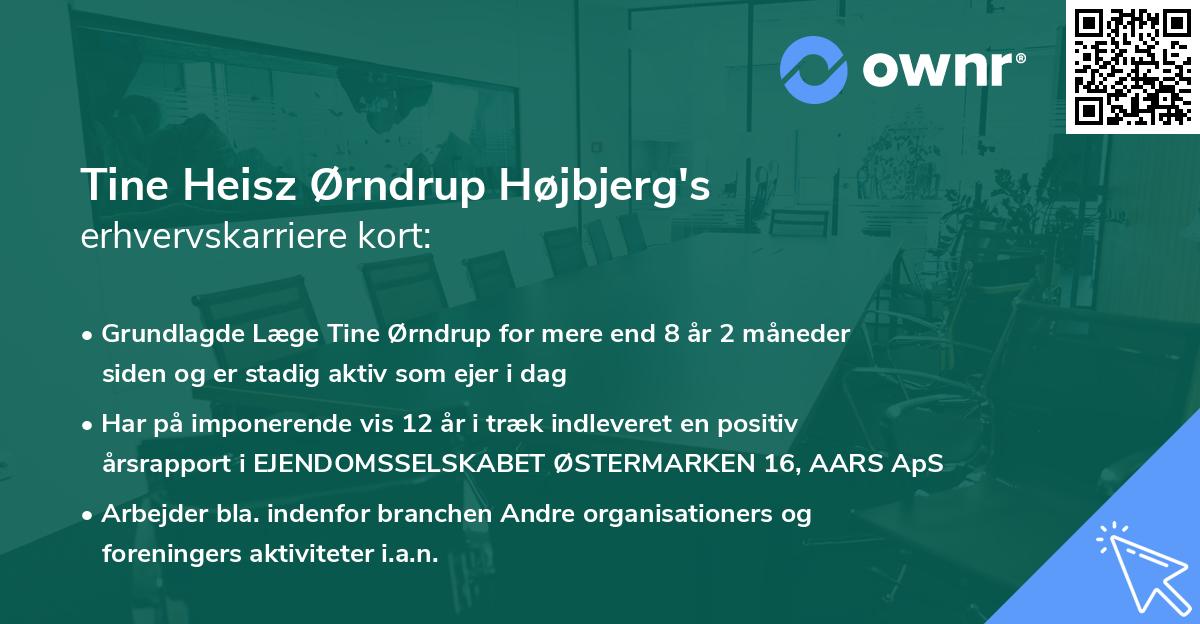 Tine Heisz Ørndrup Højbjerg's erhvervskarriere kort