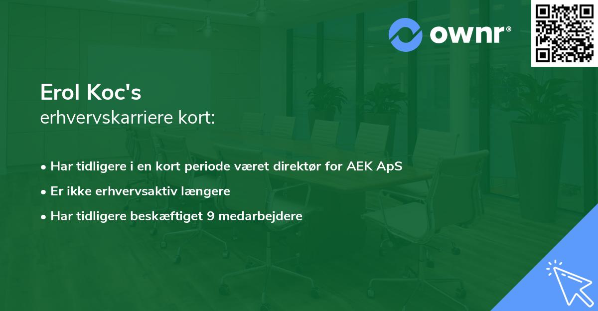 Erol Koc's erhvervskarriere kort
