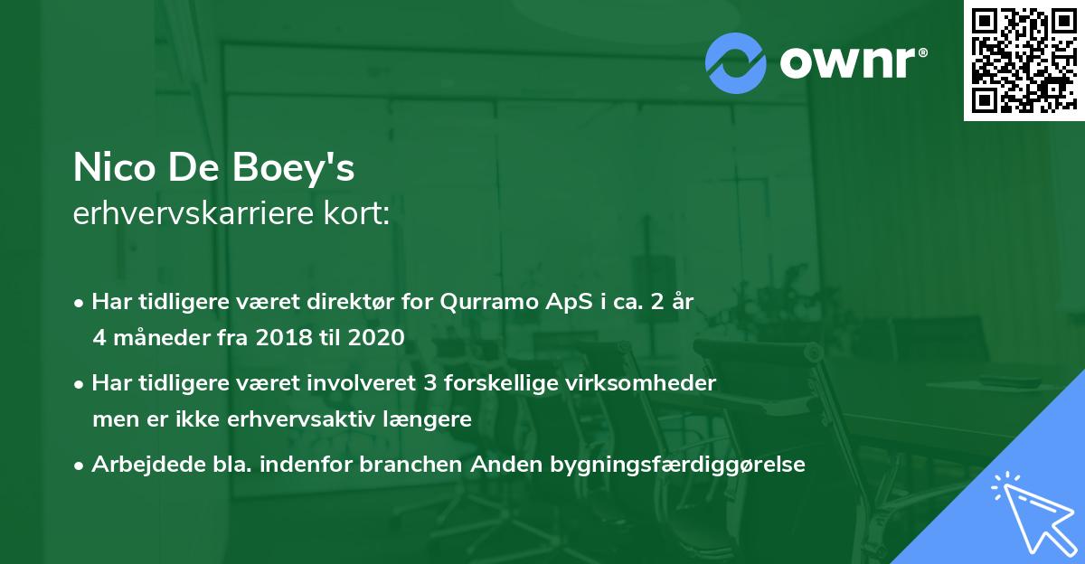Nico De Boey's erhvervskarriere kort