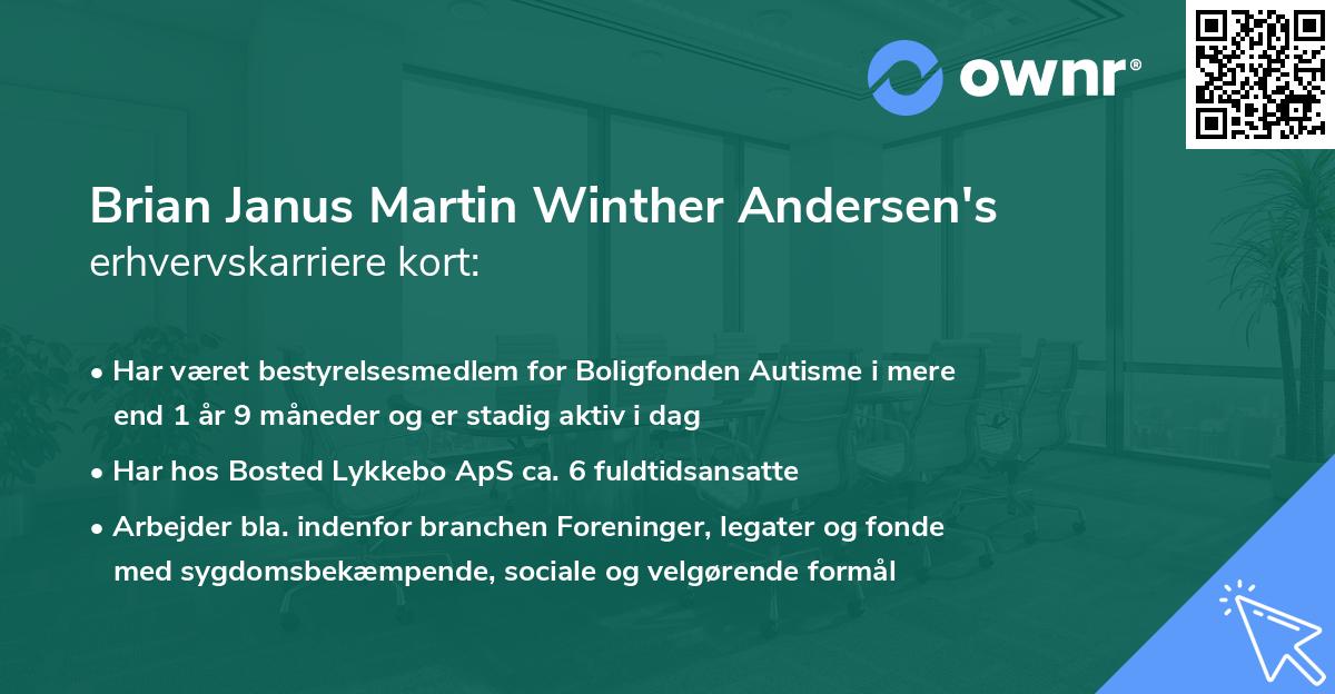 Brian Janus Martin Winther Andersen's erhvervskarriere kort