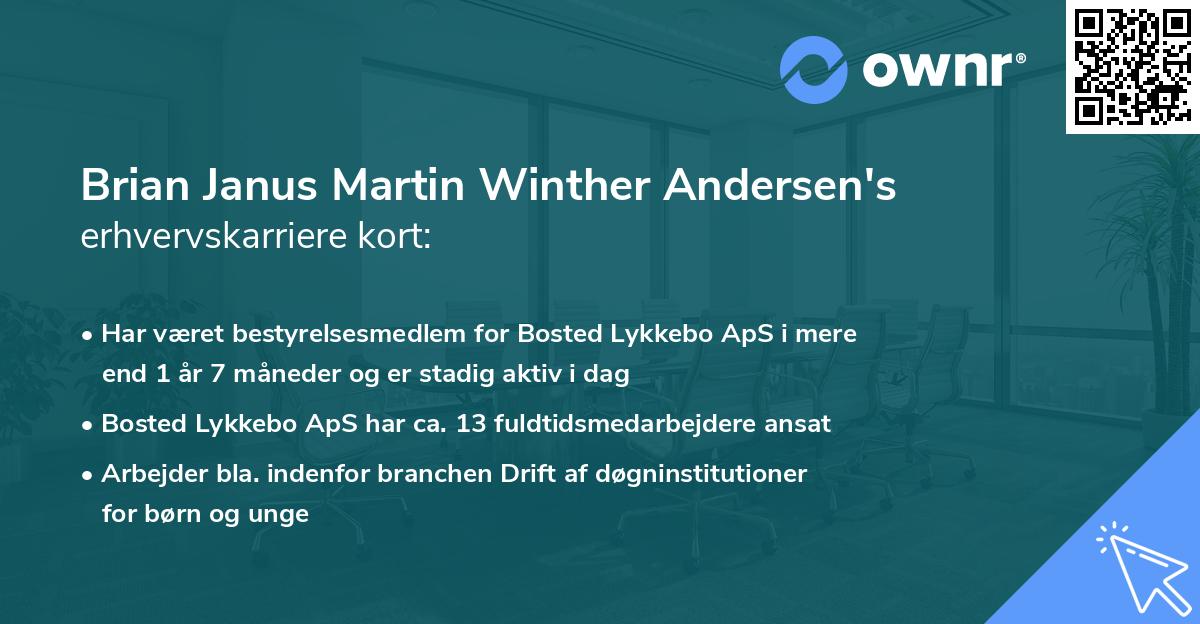 Brian Janus Martin Winther Andersen's erhvervskarriere kort