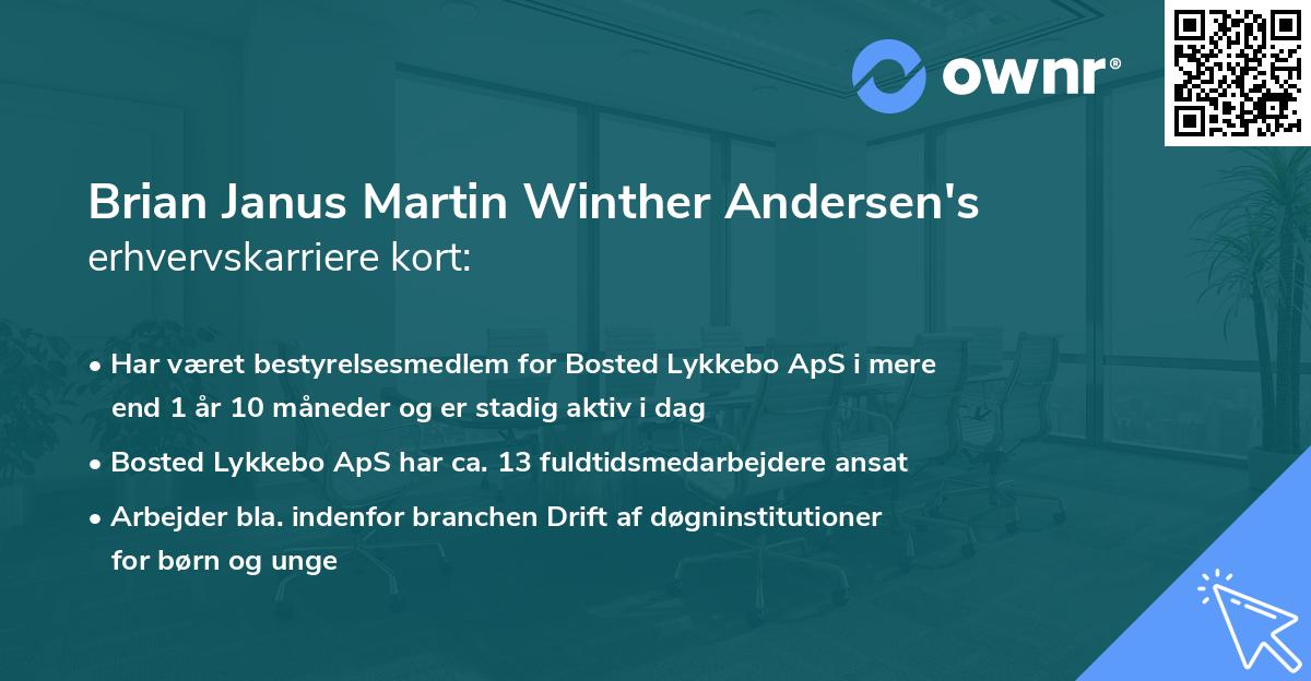 Brian Janus Martin Winther Andersen's erhvervskarriere kort