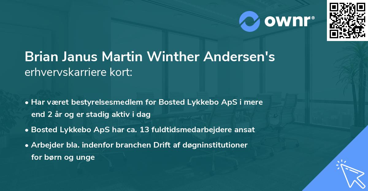 Brian Janus Martin Winther Andersen's erhvervskarriere kort
