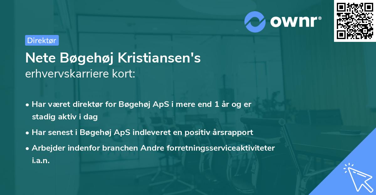 Nete Bøgehøj Kristiansen's erhvervskarriere kort
