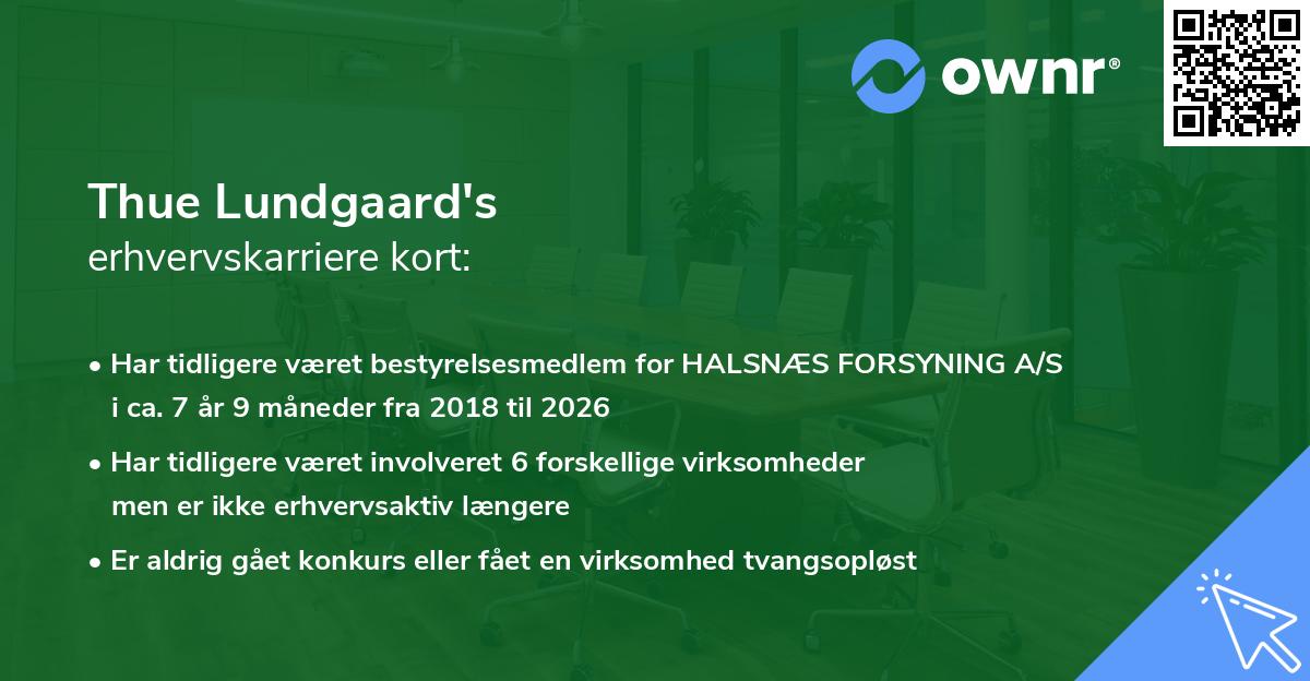 Thue Lundgaard's erhvervskarriere kort