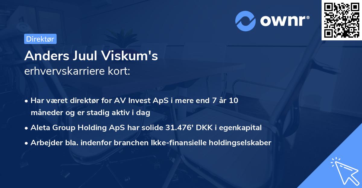 Anders Juul Viskum's erhvervskarriere kort