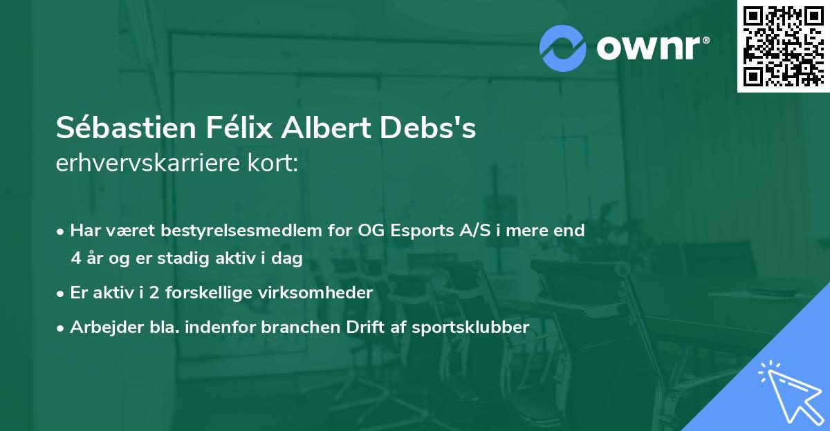 Sébastien Félix Albert Debs's erhvervskarriere kort
