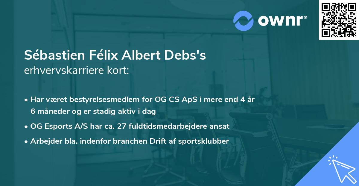 Sébastien Félix Albert Debs's erhvervskarriere kort