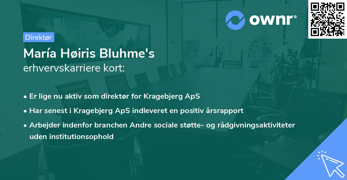 María Høiris Bluhme's erhvervskarriere kort