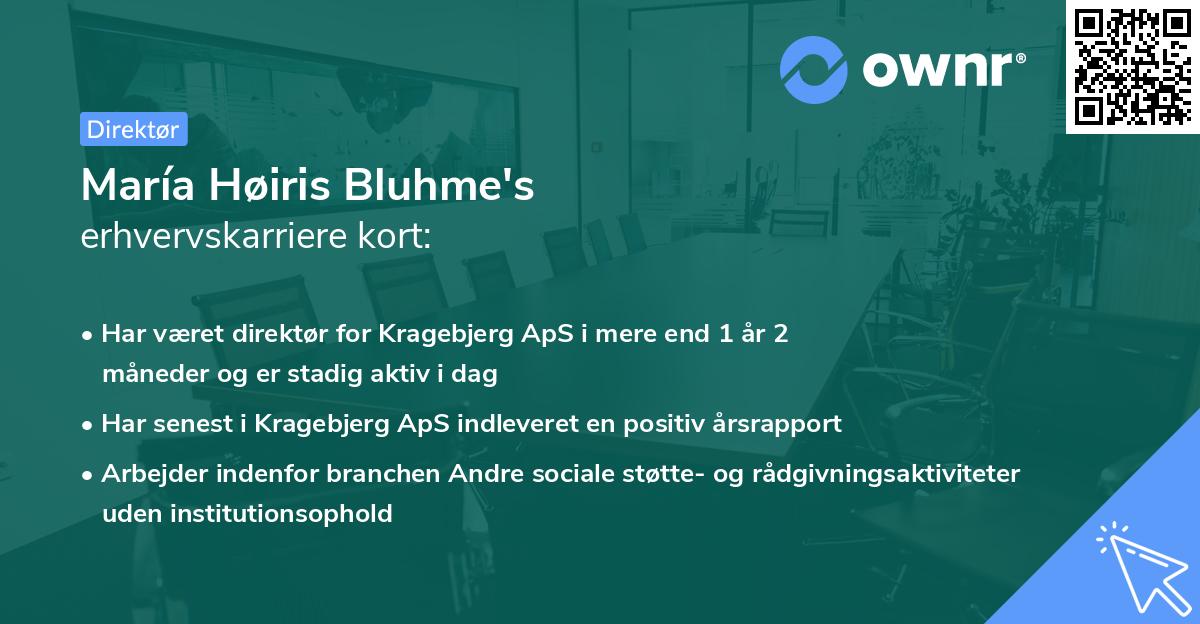 María Høiris Bluhme's erhvervskarriere kort