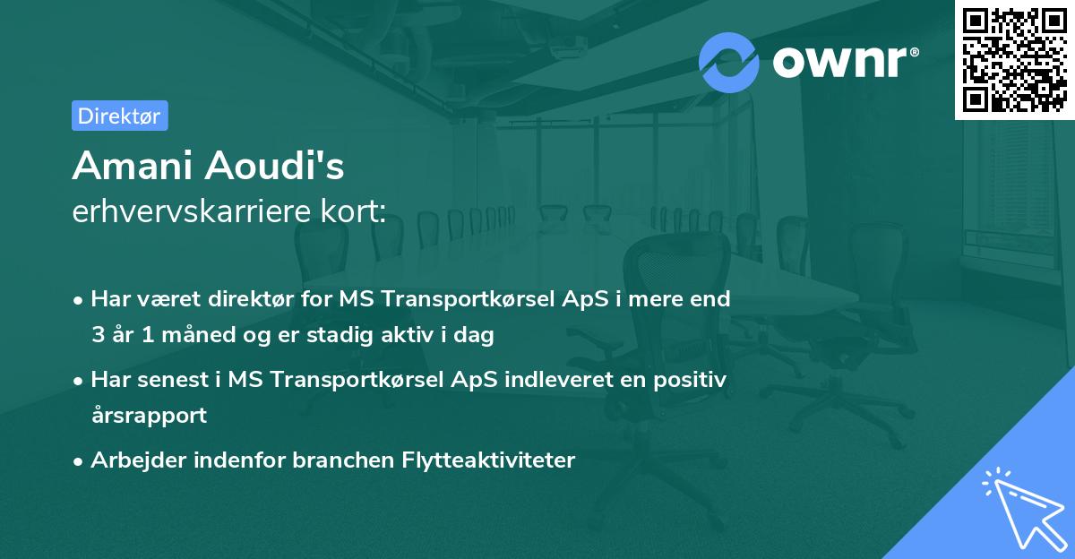 Amani Aoudi's erhvervskarriere kort