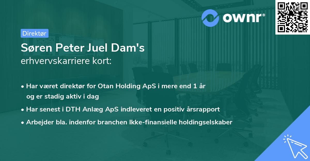Søren Peter Juel Dam's erhvervskarriere kort