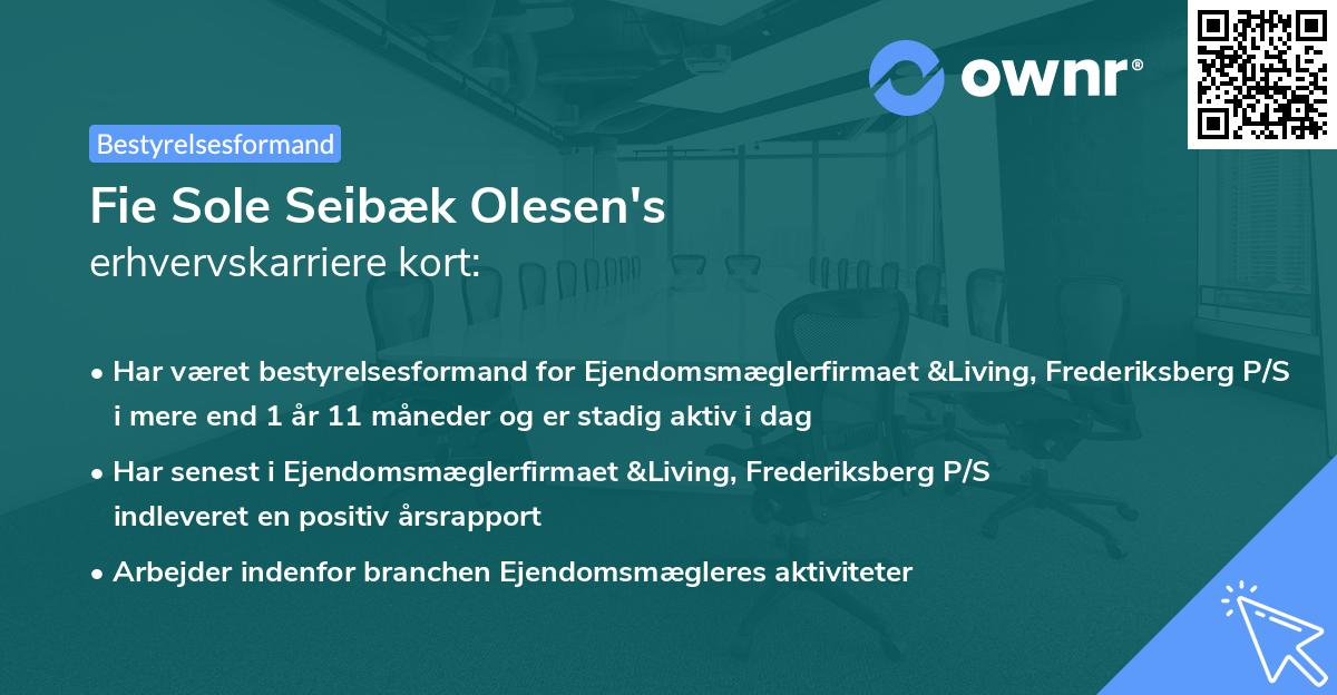 Fie Sole Seibæk Olesen's erhvervskarriere kort
