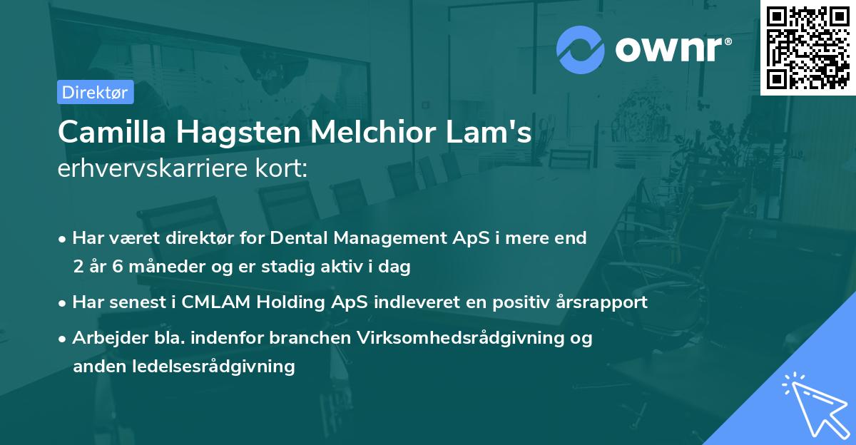 Camilla Hagsten Melchior Lam's erhvervskarriere kort