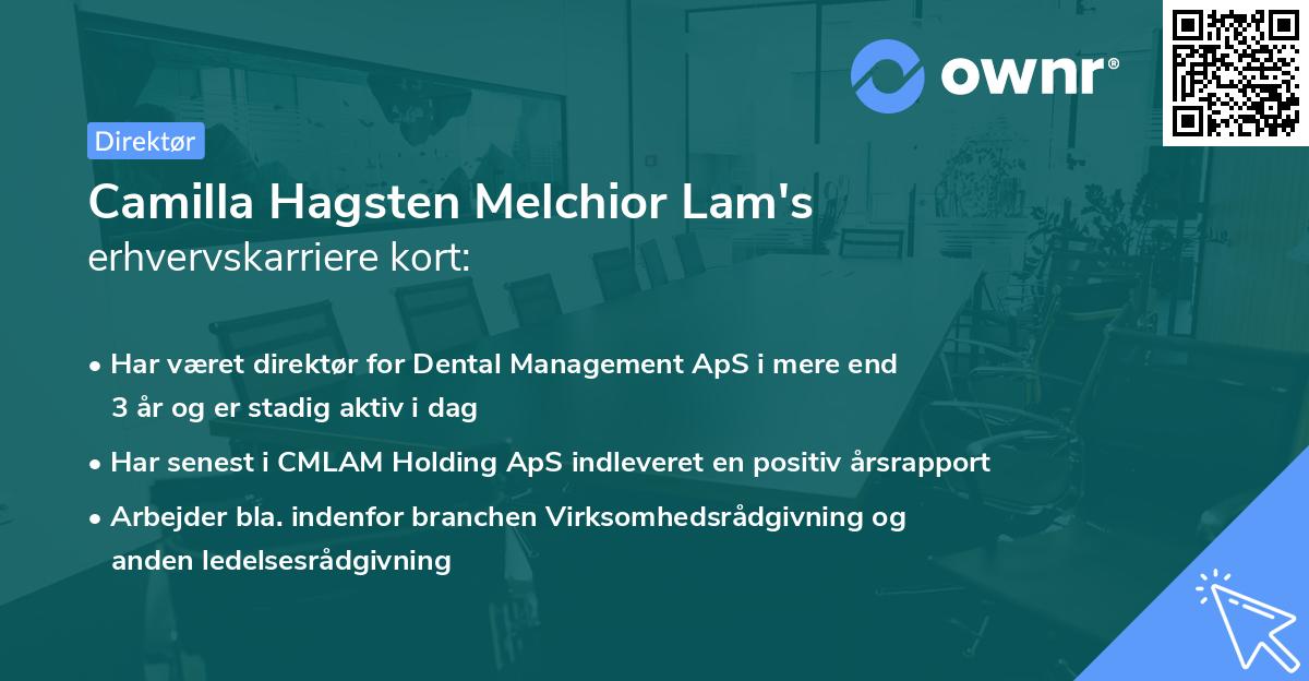 Camilla Hagsten Melchior Lam's erhvervskarriere kort