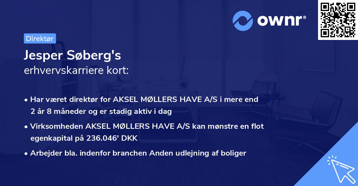 Jesper Søberg's erhvervskarriere kort