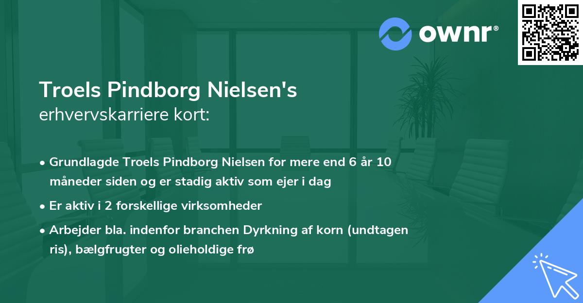 Troels Pindborg Nielsen's erhvervskarriere kort