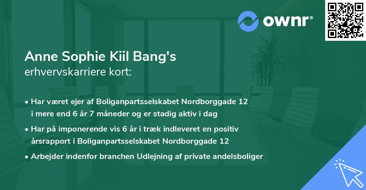 Anne Sophie Kiil Bang's erhvervskarriere kort