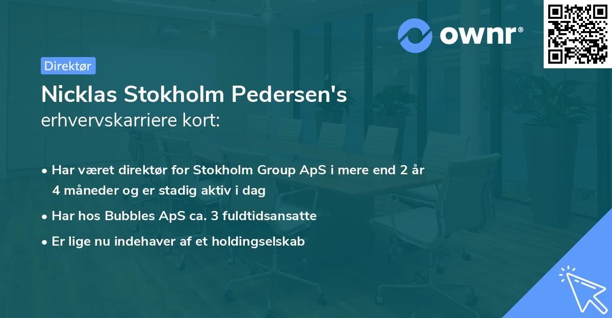 Nicklas Stokholm Pedersen's erhvervskarriere kort