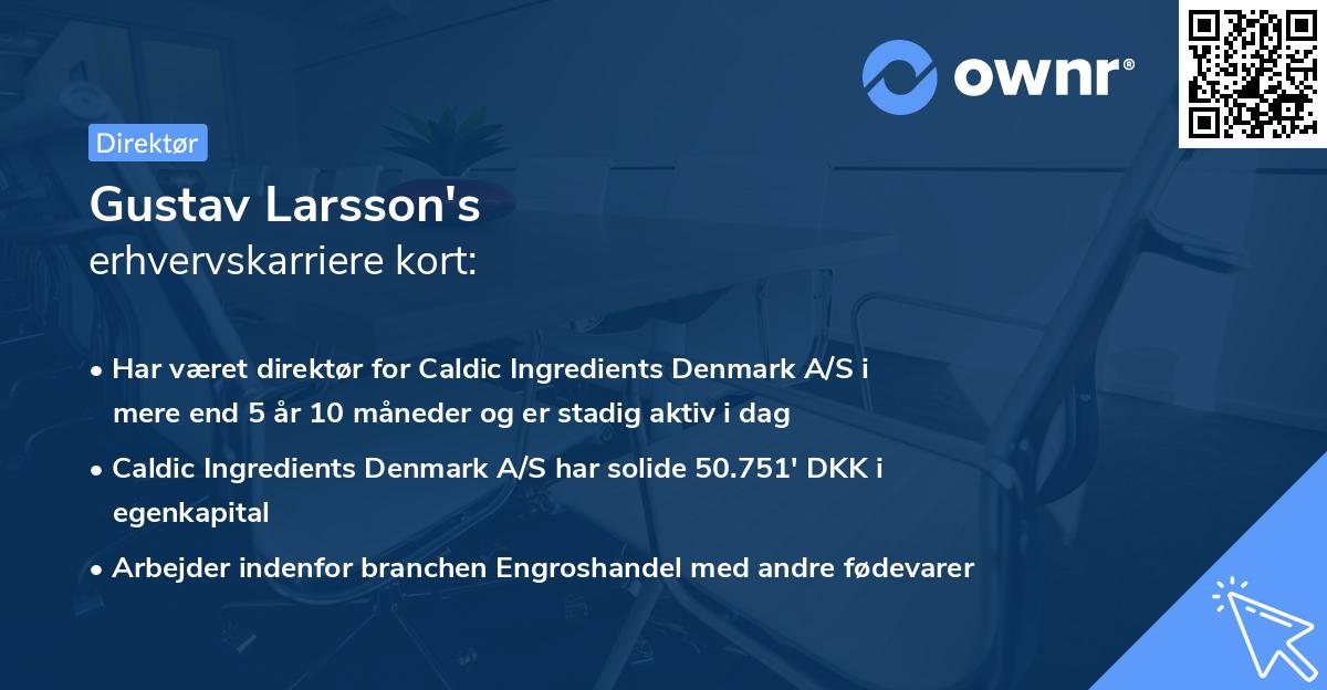 Gustav Larsson's erhvervskarriere kort