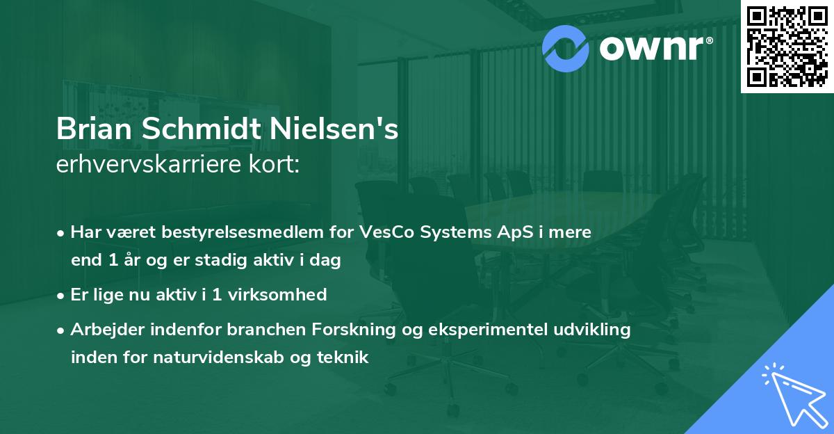 Brian Schmidt Nielsen's erhvervskarriere kort