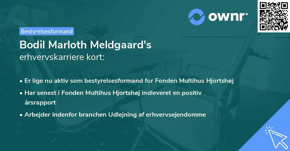 Bodil Marloth Meldgaard's erhvervskarriere kort