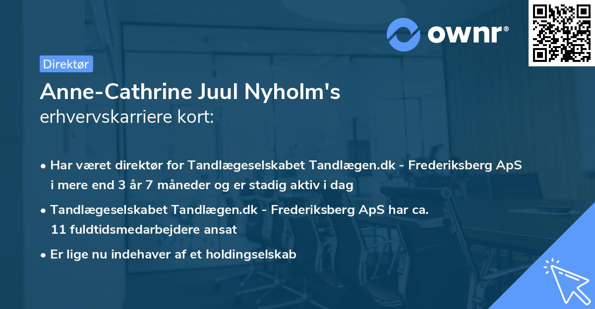 Anne-Cathrine Juul Nyholm's erhvervskarriere kort