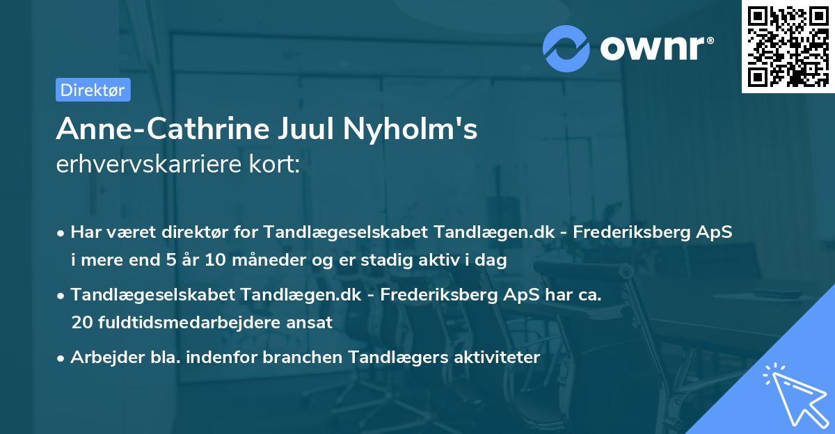 Anne-Cathrine Juul Nyholm's erhvervskarriere kort