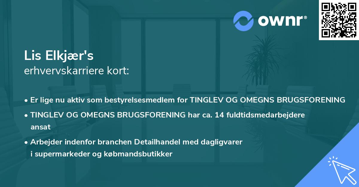 Lis Elkjær's erhvervskarriere kort