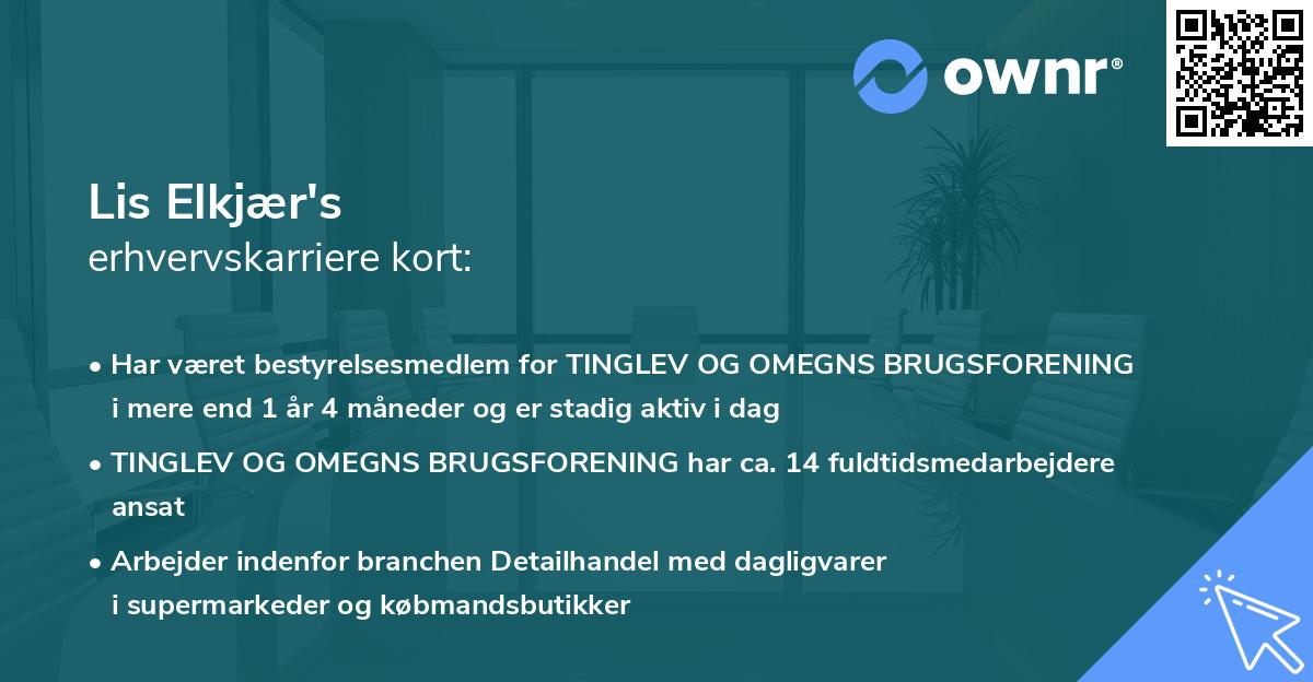 Lis Elkjær's erhvervskarriere kort