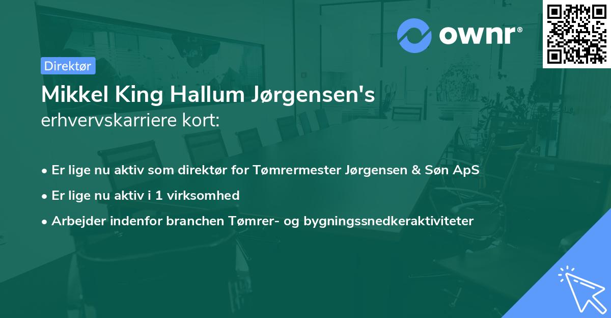 Mikkel King Hallum Jørgensen's erhvervskarriere kort