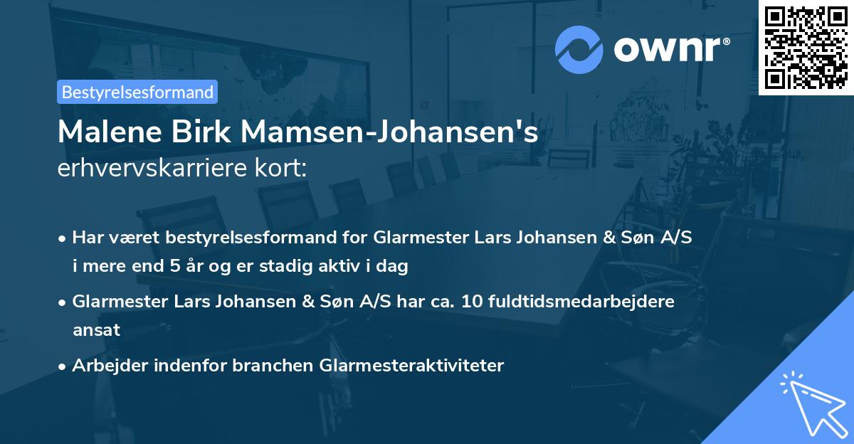 Malene Birk Mamsen-Johansen's erhvervskarriere kort