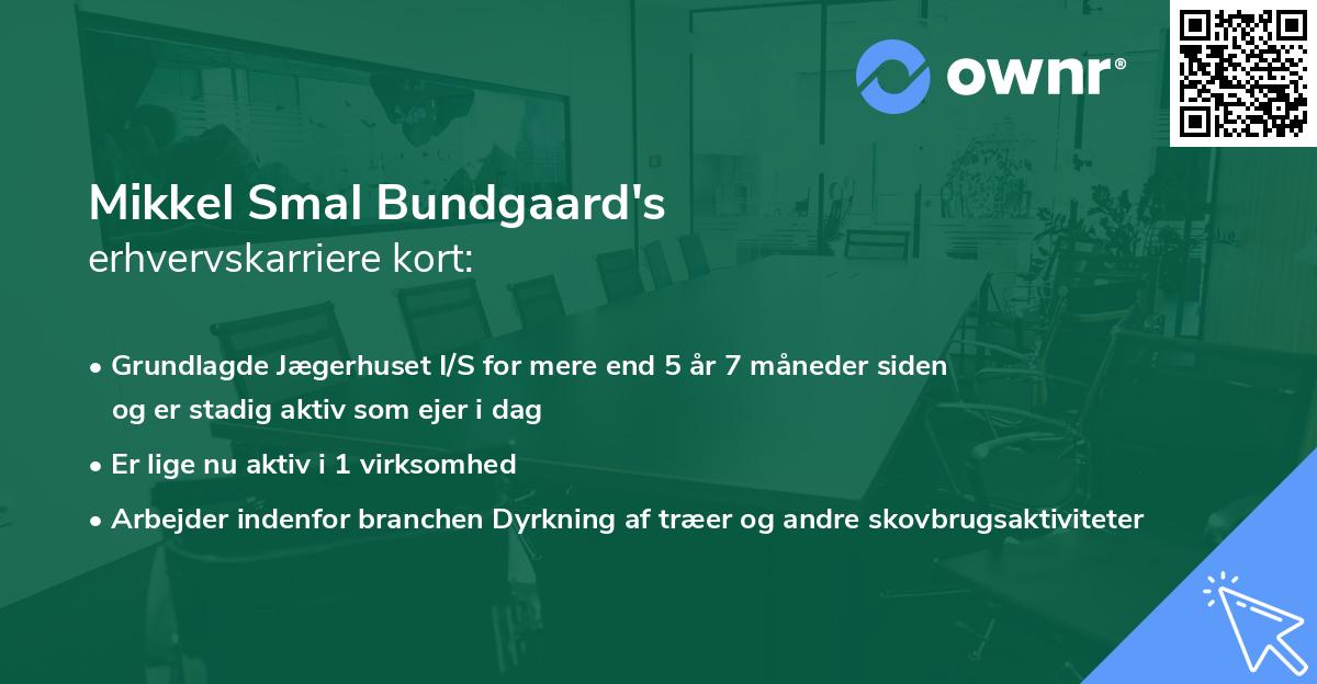 Mikkel Smal Bundgaard's erhvervskarriere kort