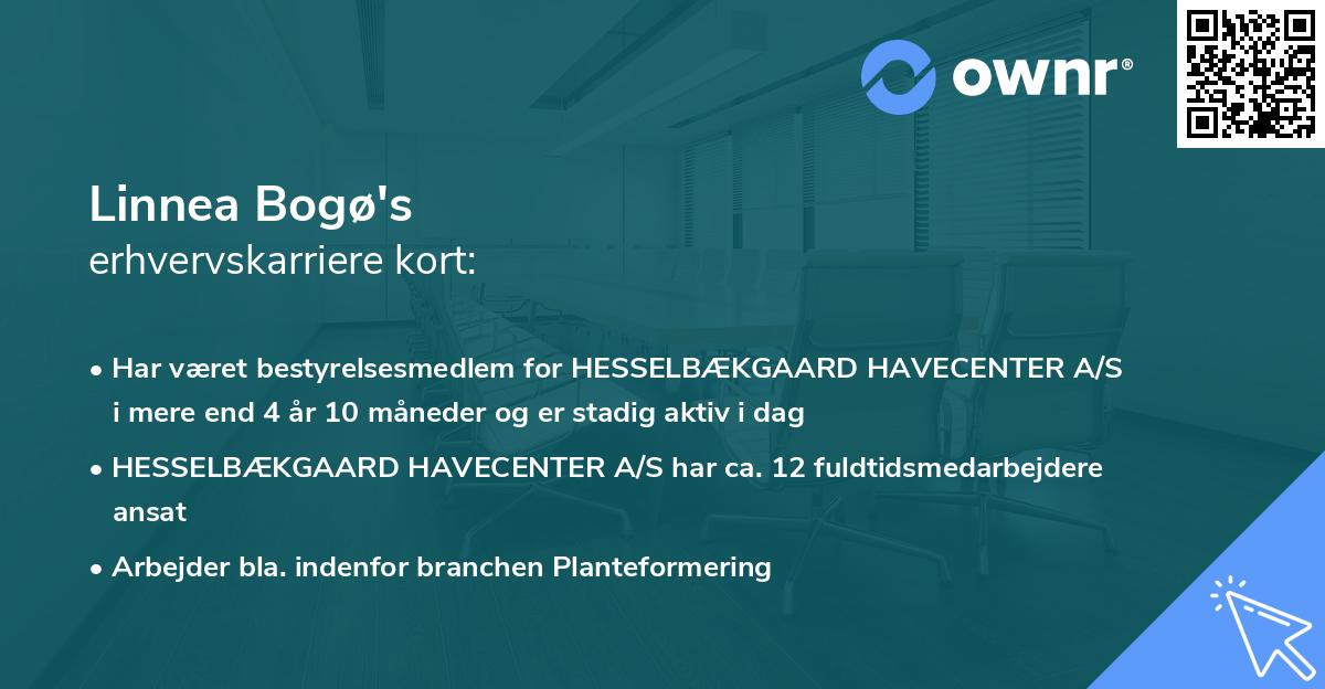 Linnea Bogø's erhvervskarriere kort