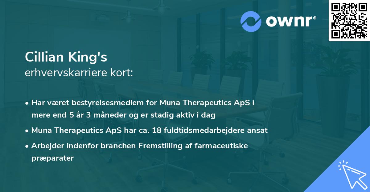 Cillian King's erhvervskarriere kort