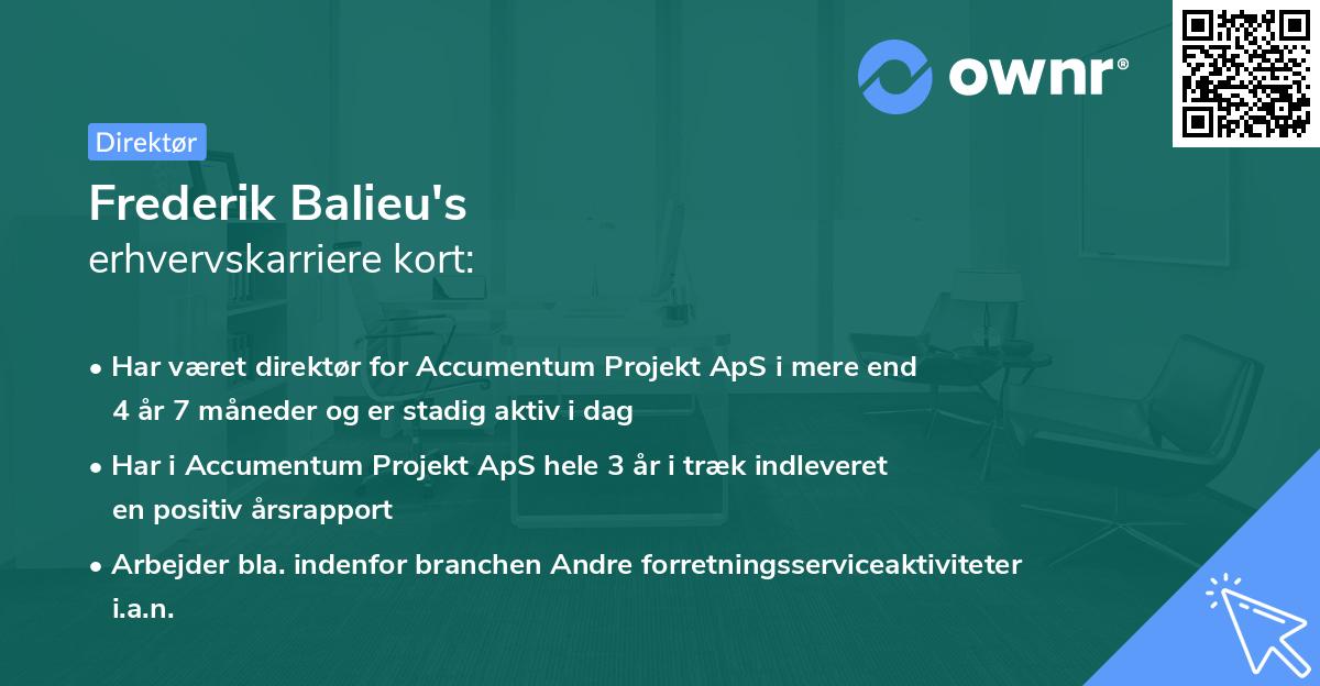 Frederik Balieu's erhvervskarriere kort