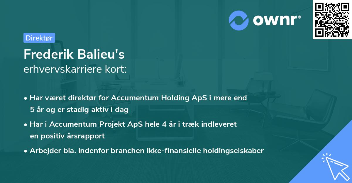 Frederik Balieu's erhvervskarriere kort