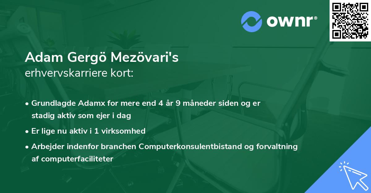 Adam Gergö Mezövari's erhvervskarriere kort