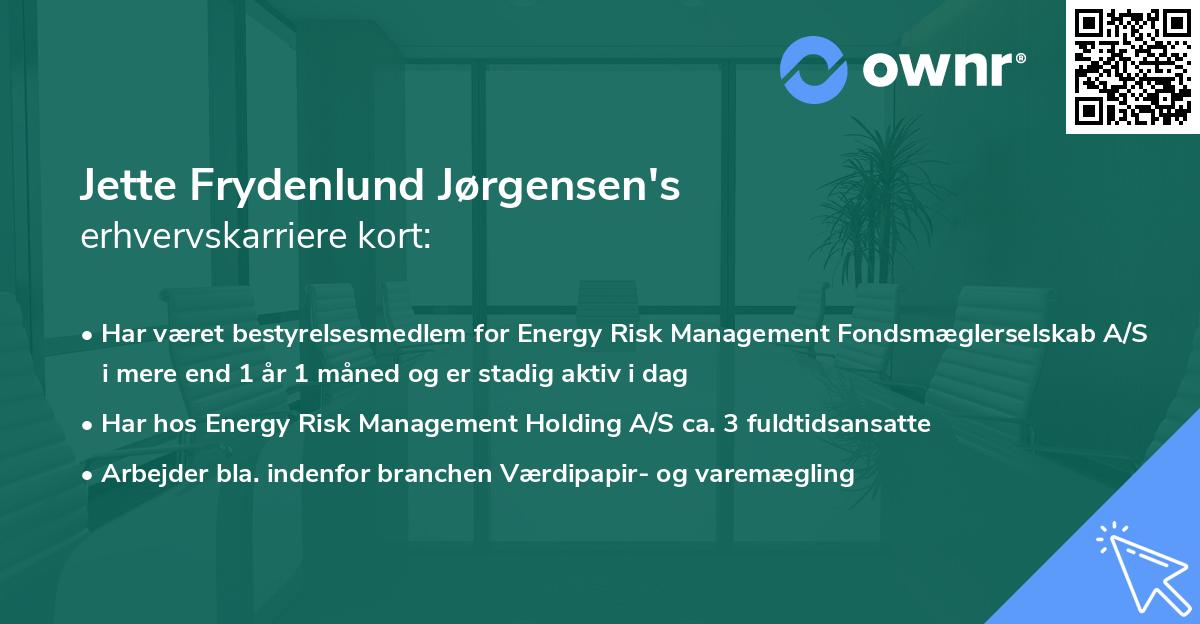 Jette Frydenlund Jørgensen's erhvervskarriere kort