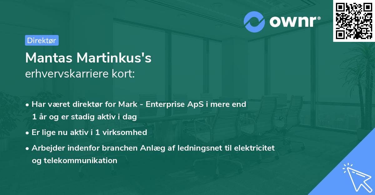 Mantas Martinkus's erhvervskarriere kort